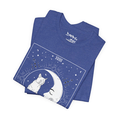 The Moon Tarot Cat