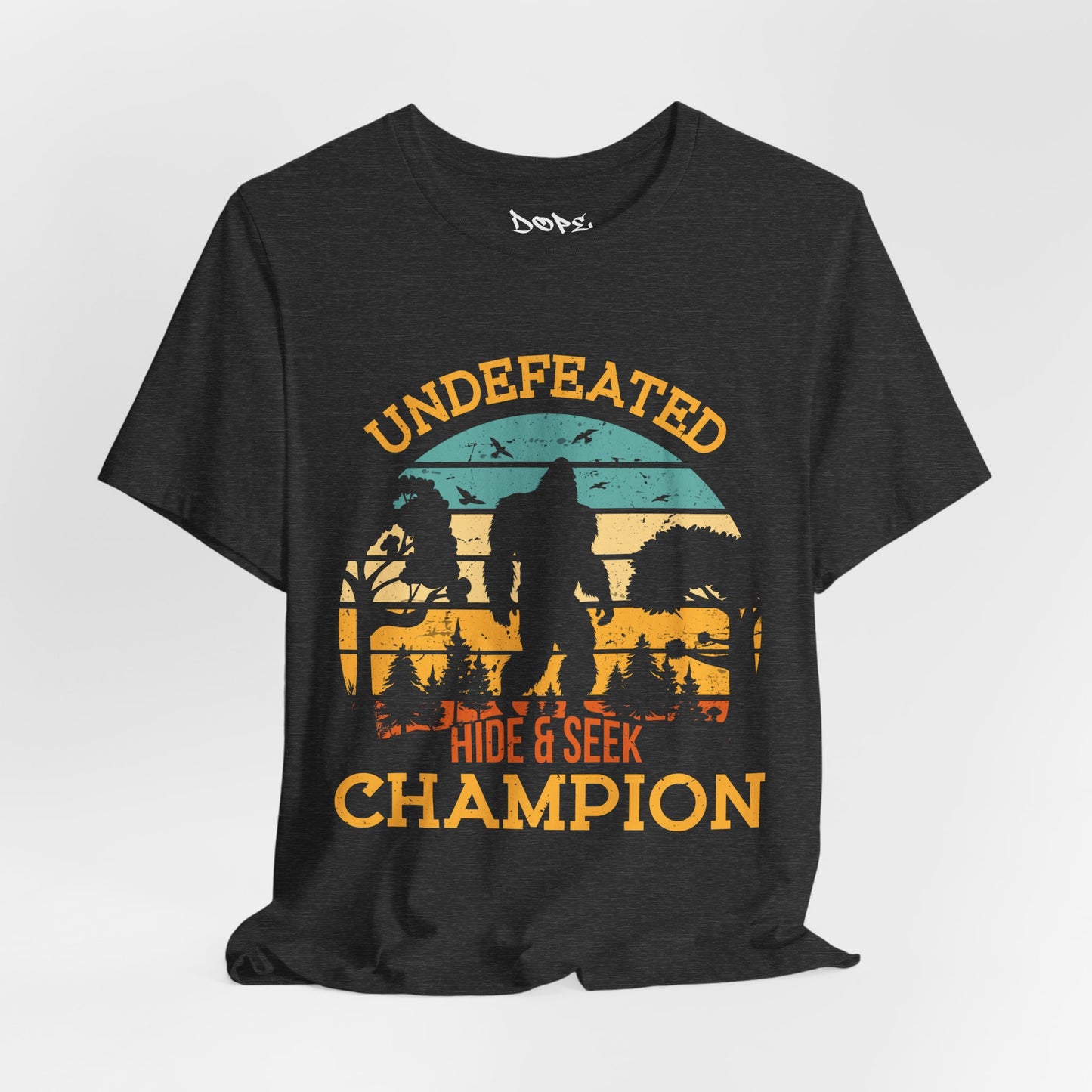 Undefeated Hide & Seek Champion