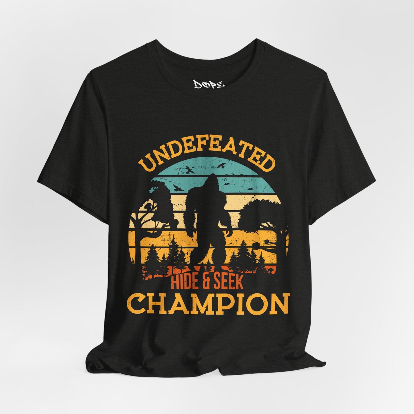 Undefeated Hide & Seek Champion